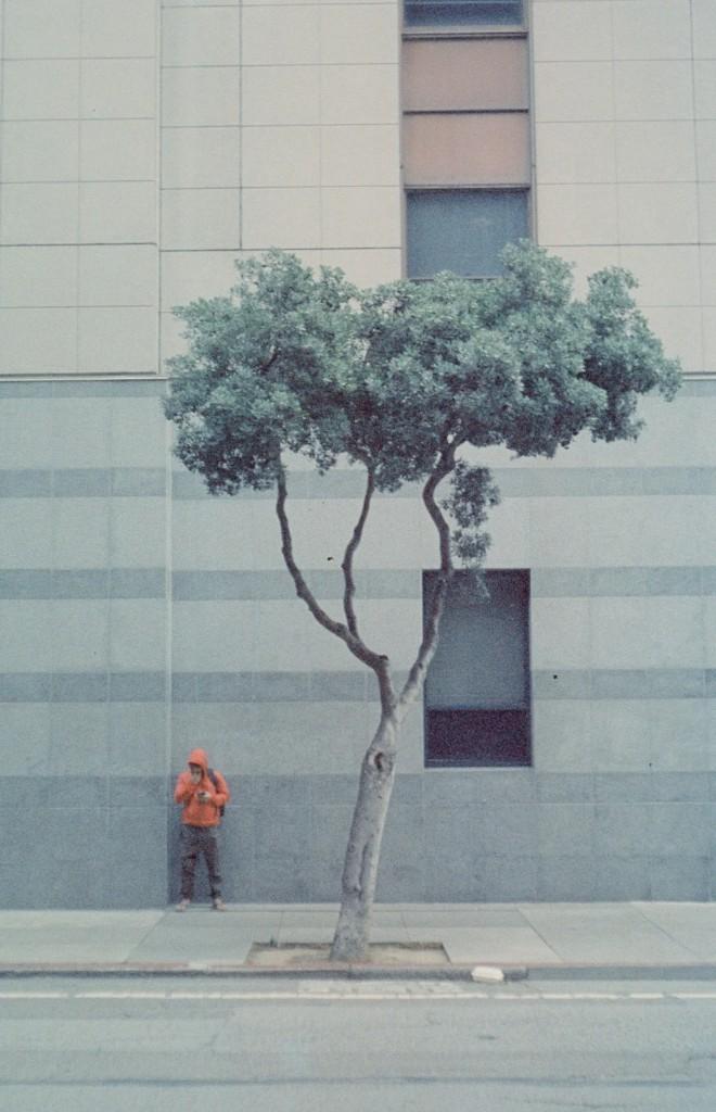 Kodak Vision 2 (5217) sample 1