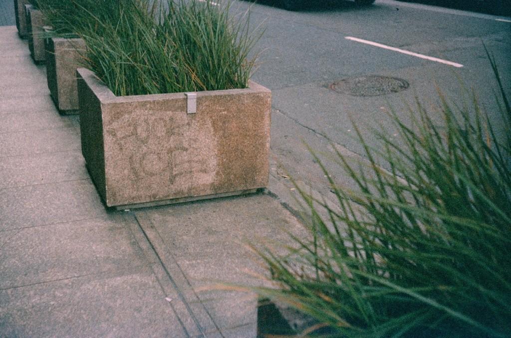 Konica VX100 Super sample 1